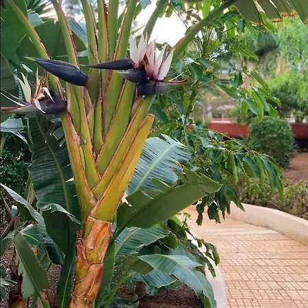 Casa Eneri شقة لوس كريستيانوس