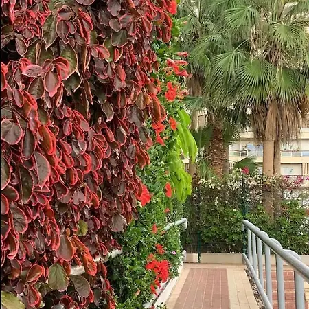Casa Eneri Appartamento